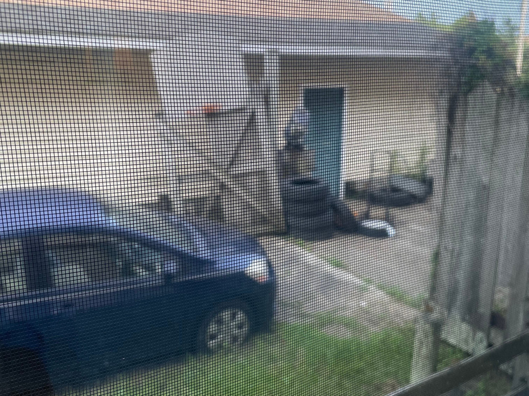 Pony Island Inn主图