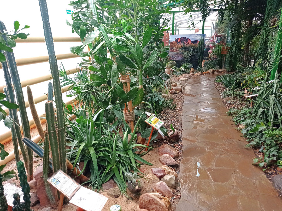 Botanic Garden景点图片