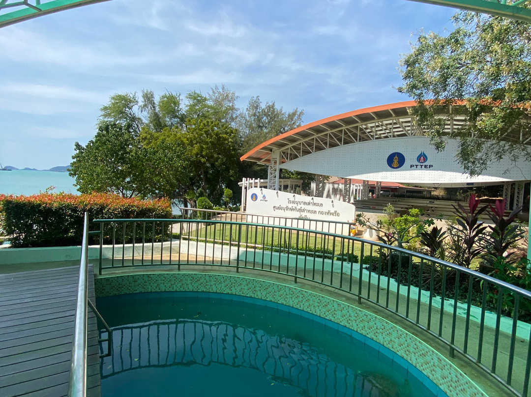 Sea Turtle Conservation Center, Sattahip-色桃邑必去景点