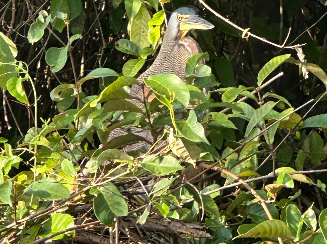 DON CHICO TOURS-托图杰多必去景点