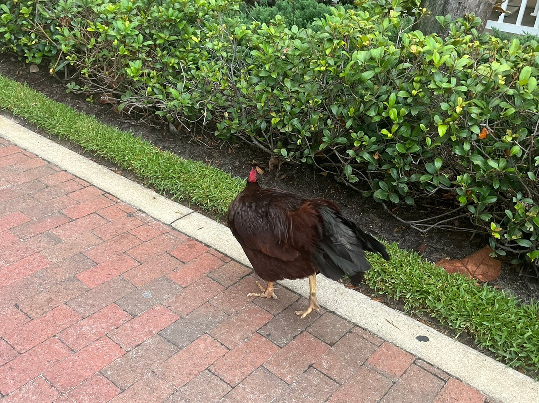 Hampton Inn New Smyrna Beach主图