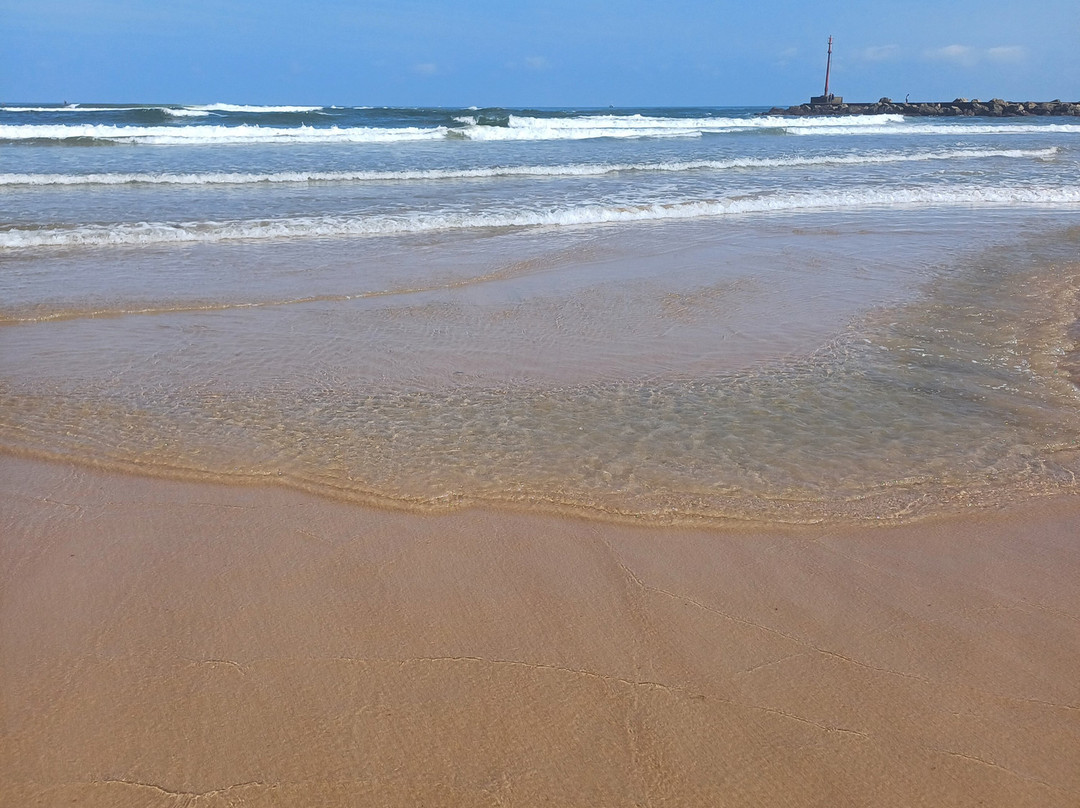 La Concha De Suances主图