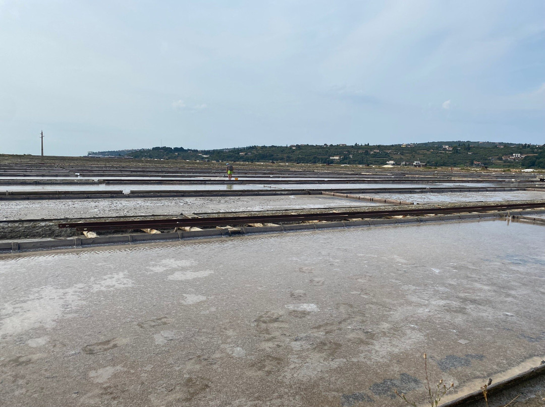 Secovlje Salina Nature Park景点图片