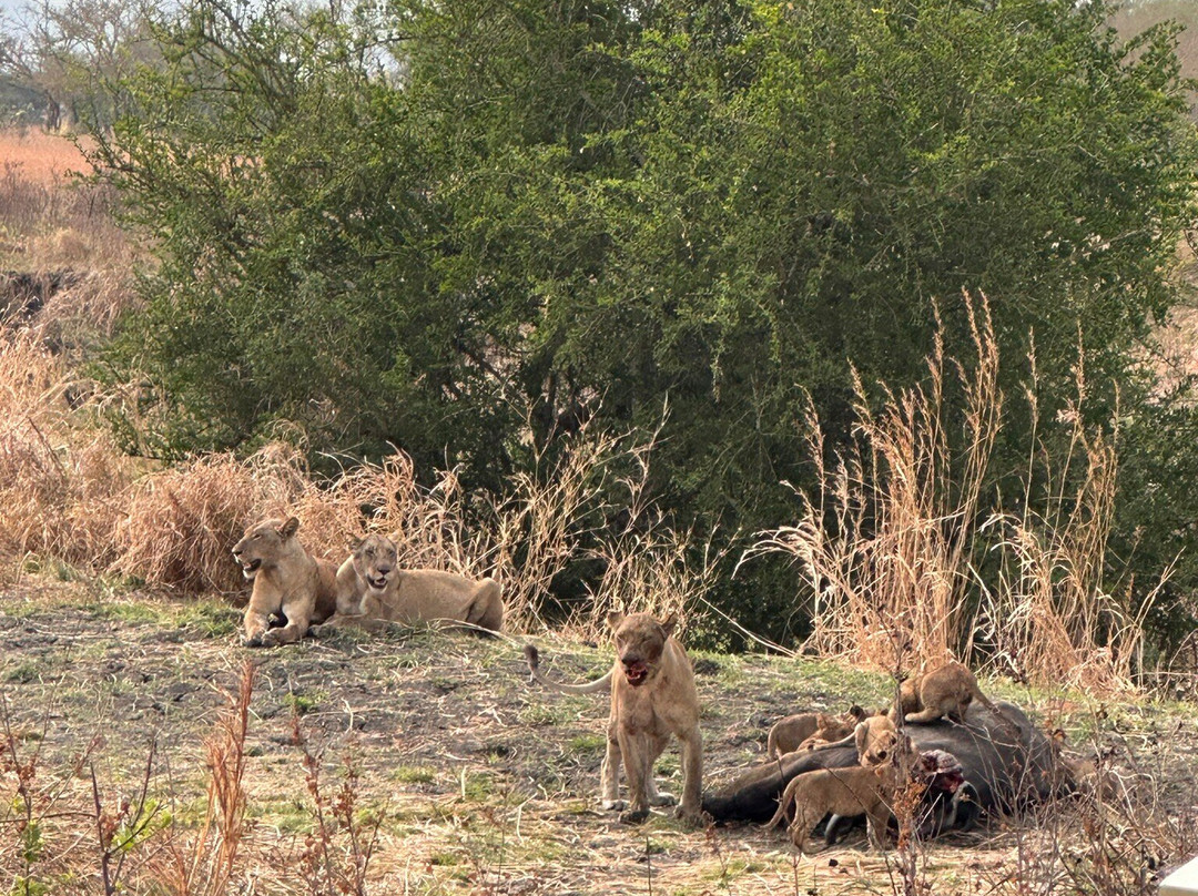 Escursioni Ronaldo-Kendwa必去景点