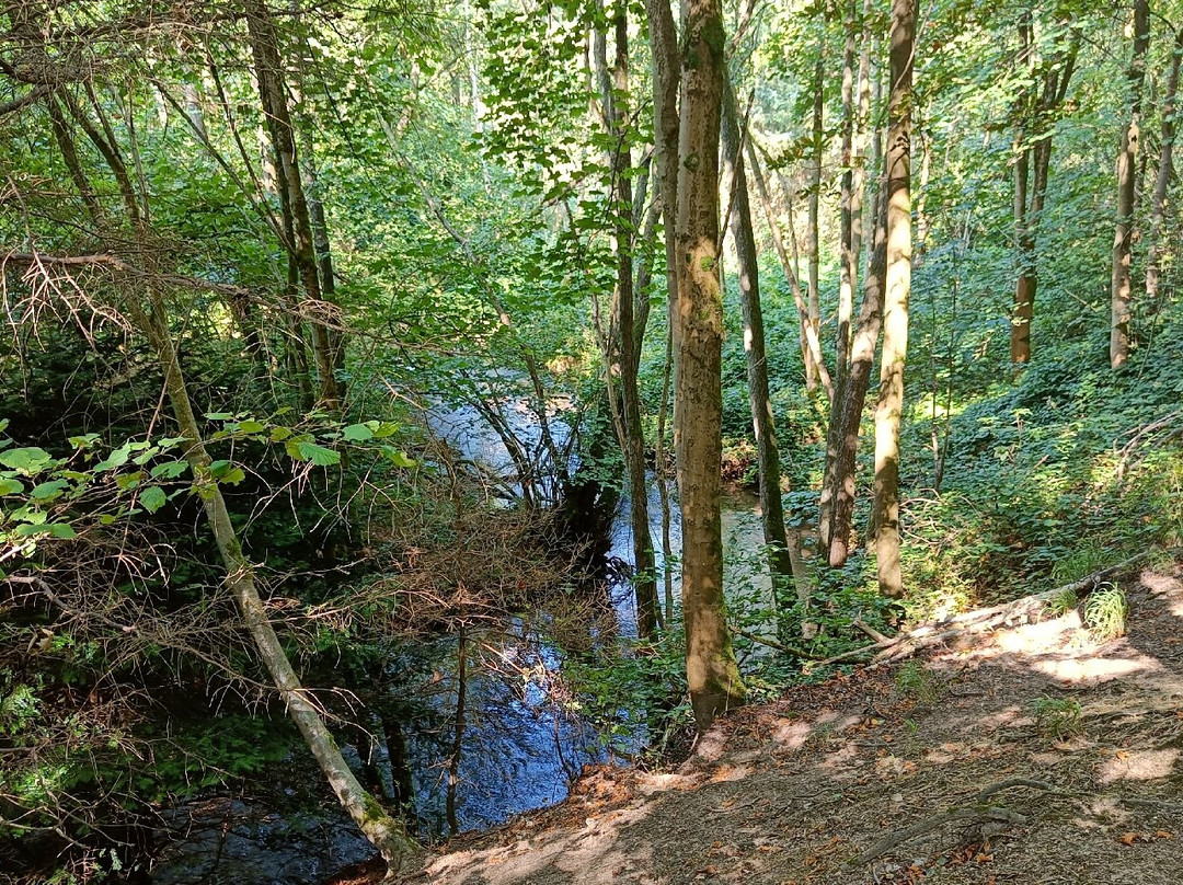 Dalby Forest景点图片