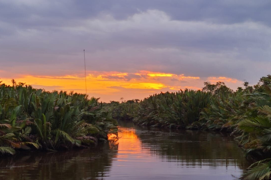 Borneo Eco Tour-Pangkalan Bun必去景点