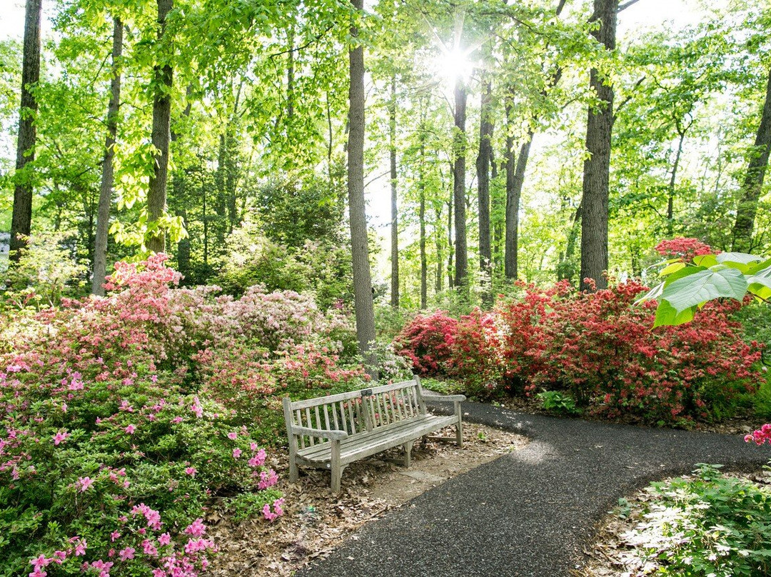 Jenkins Arboretum & Gardens-Devon必去景点