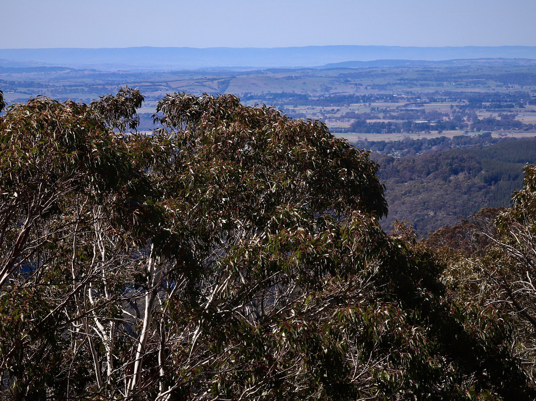 Mount Canobolas State Conservation Area景点图片
