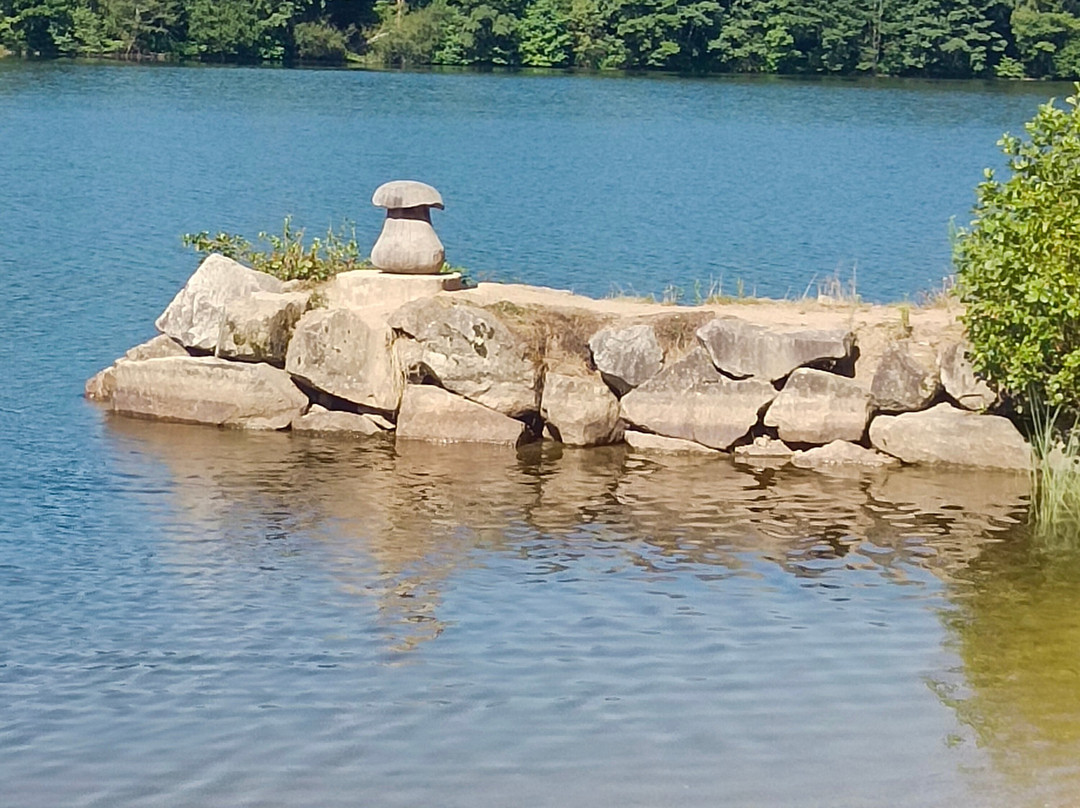 Lac de Seychemailles景点图片