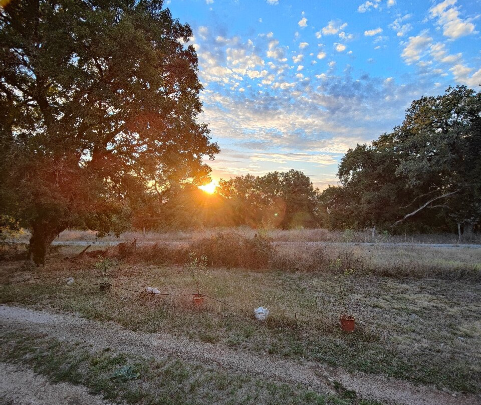 Le Bout du Roc主图