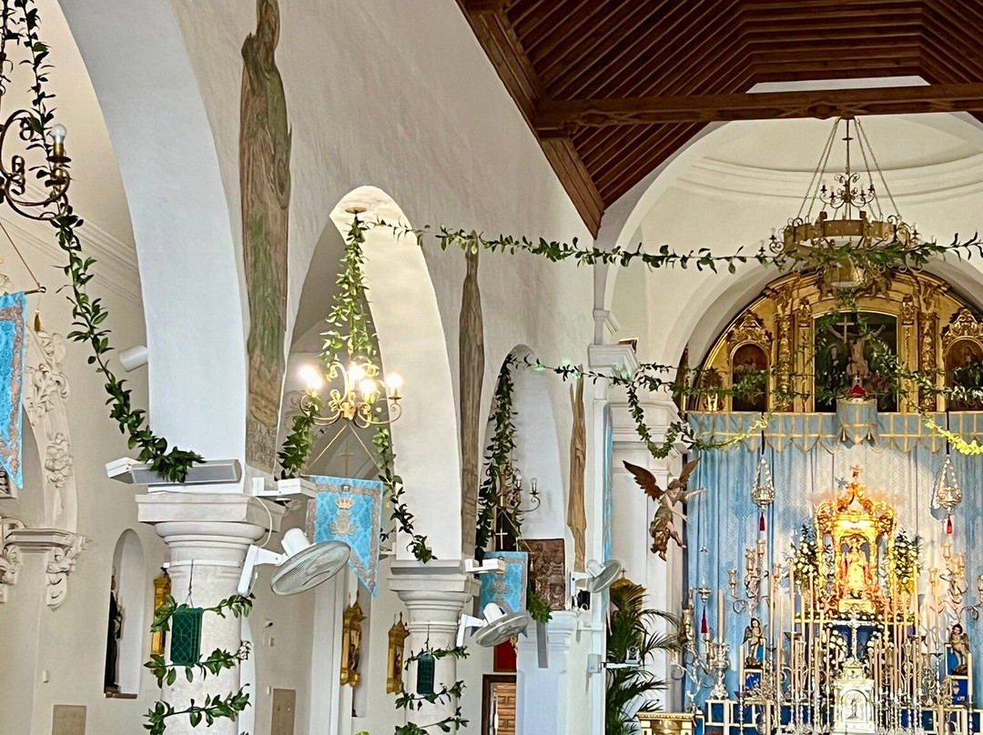 Iglesia Inmaculada Concepcion景点图片