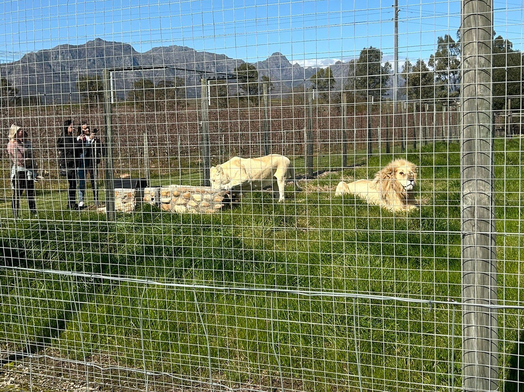 Vredenheim-斯泰伦博斯必去景点