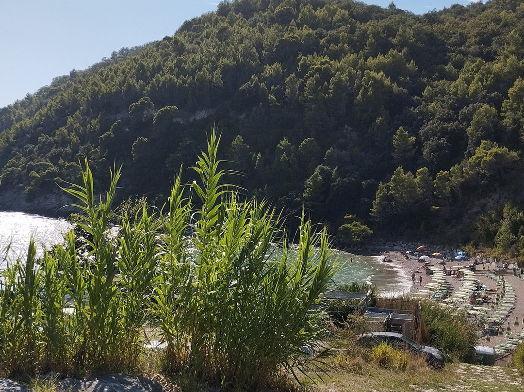 Spiaggia dei Sassolini景点图片