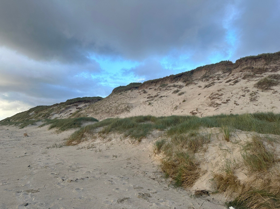 Nr. Lyngvig Camping