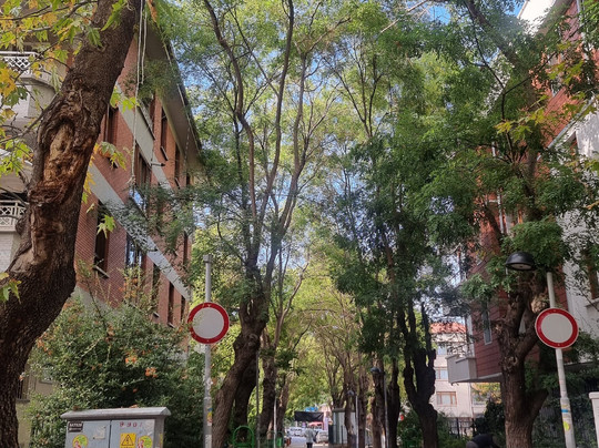 Degirmenburnu Tabiat Parki (Mesire Yeri)-Heybeliada必去景点