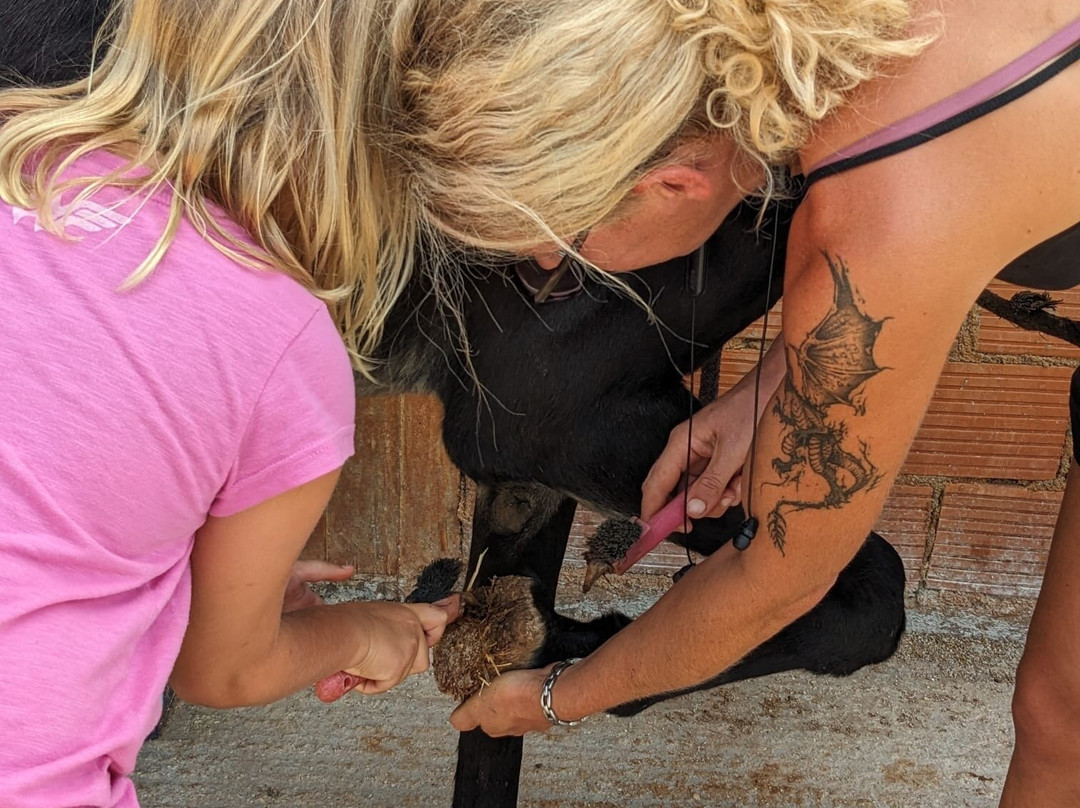 Donkey Trekking Kefalonia-萨米必去景点