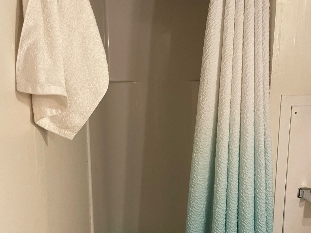 The Copper Swan主图