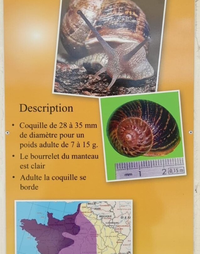 Gaec Escargot Des Restanques景点图片