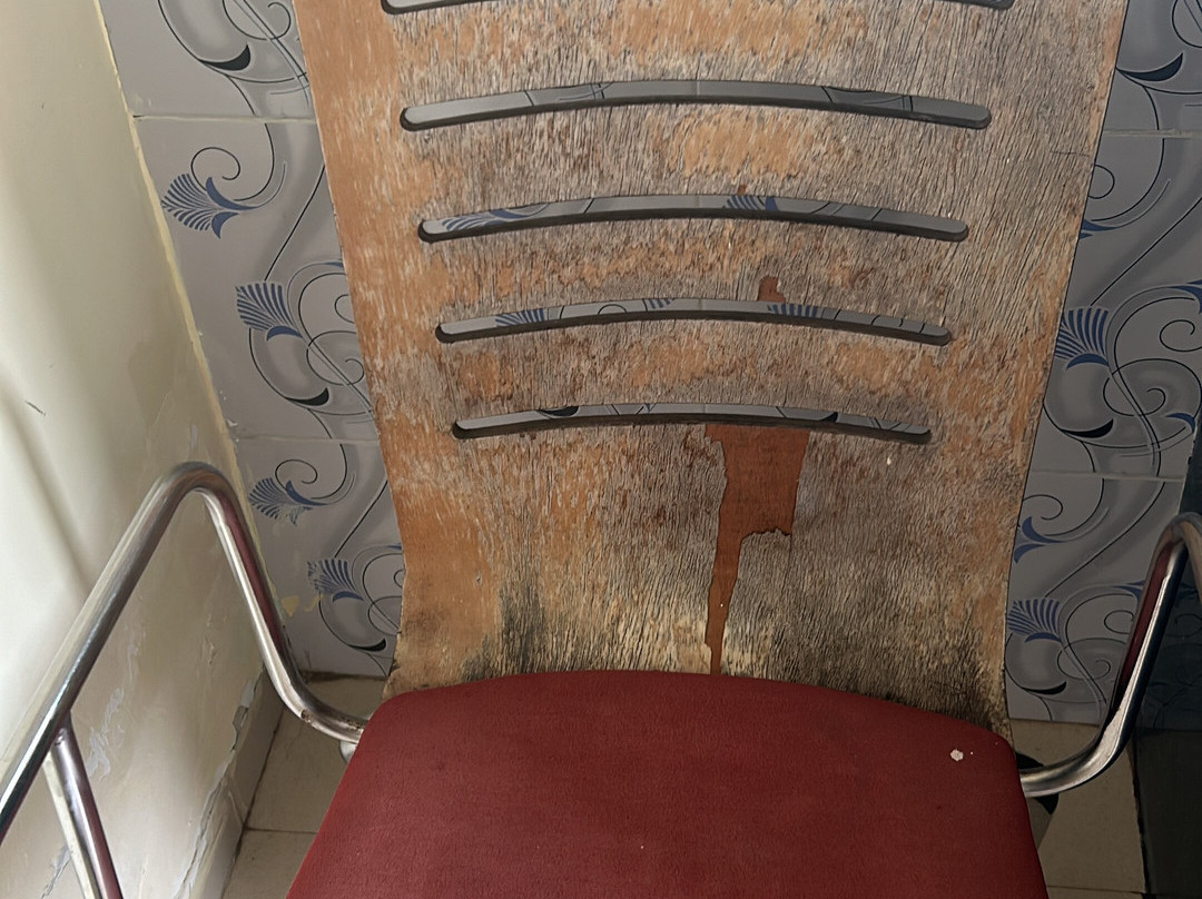 Vinyasa Treeland Saphale主图