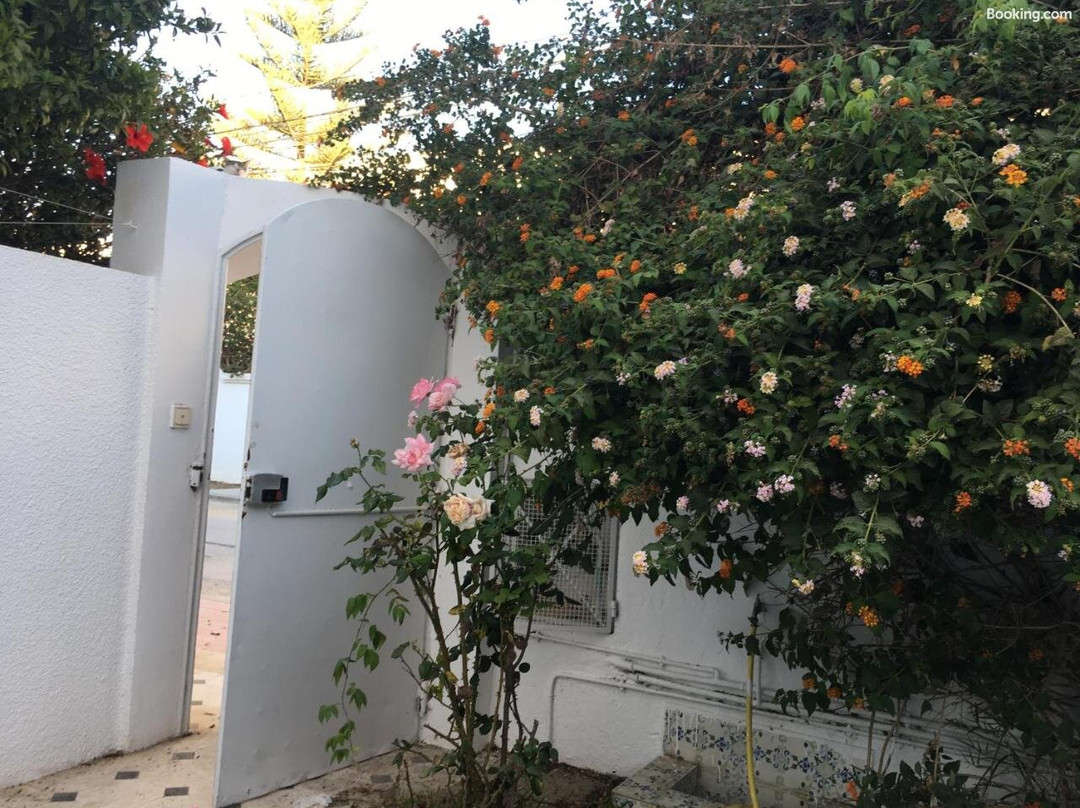 Studio Marsa