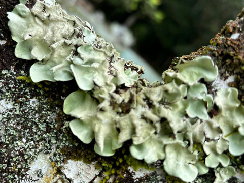 Cemitério dos Índios-Ilha Comprida必去景点