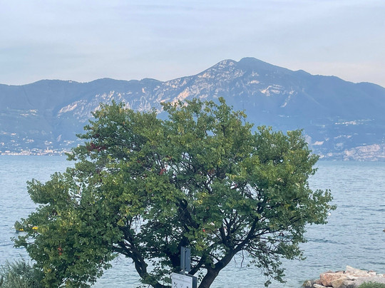 Hotel Menapace主图