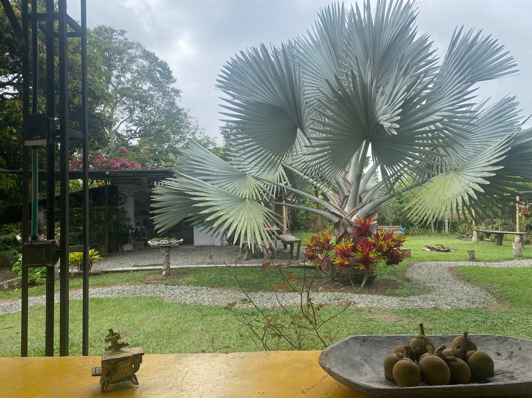 Balsora Hotel Boutique主图