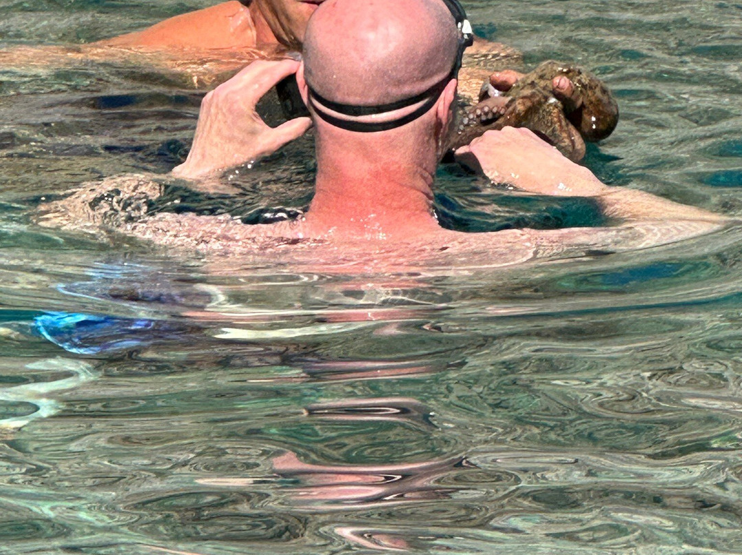 Out of the Blue Almyrida boat rental-Almyrida必去景点