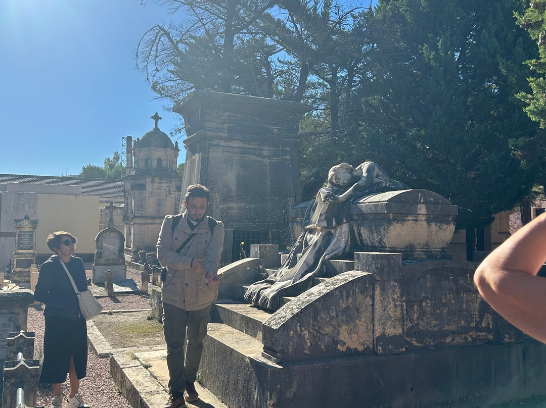 Quality Tours Mariola景点图片
