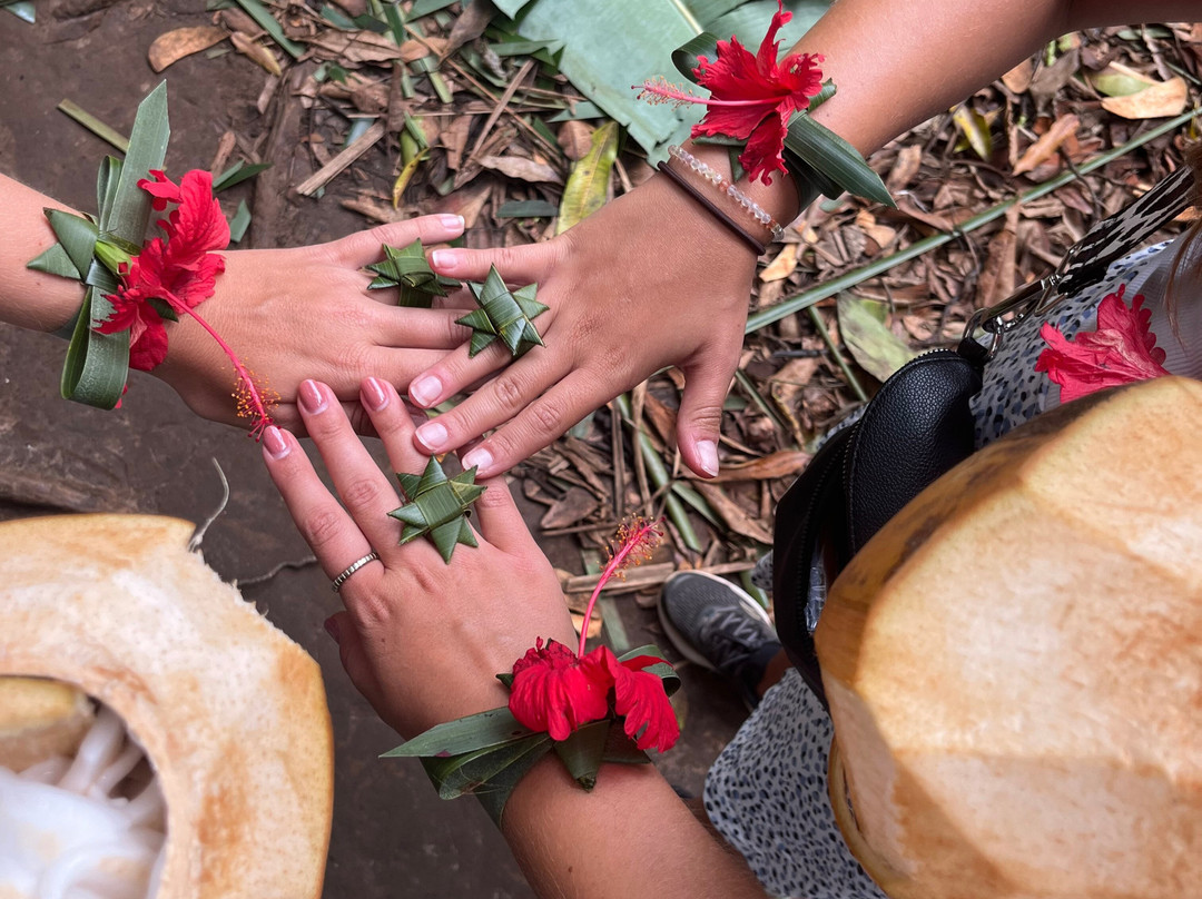 Ngatunga Tours-乞力马扎罗山国家公园必去景点