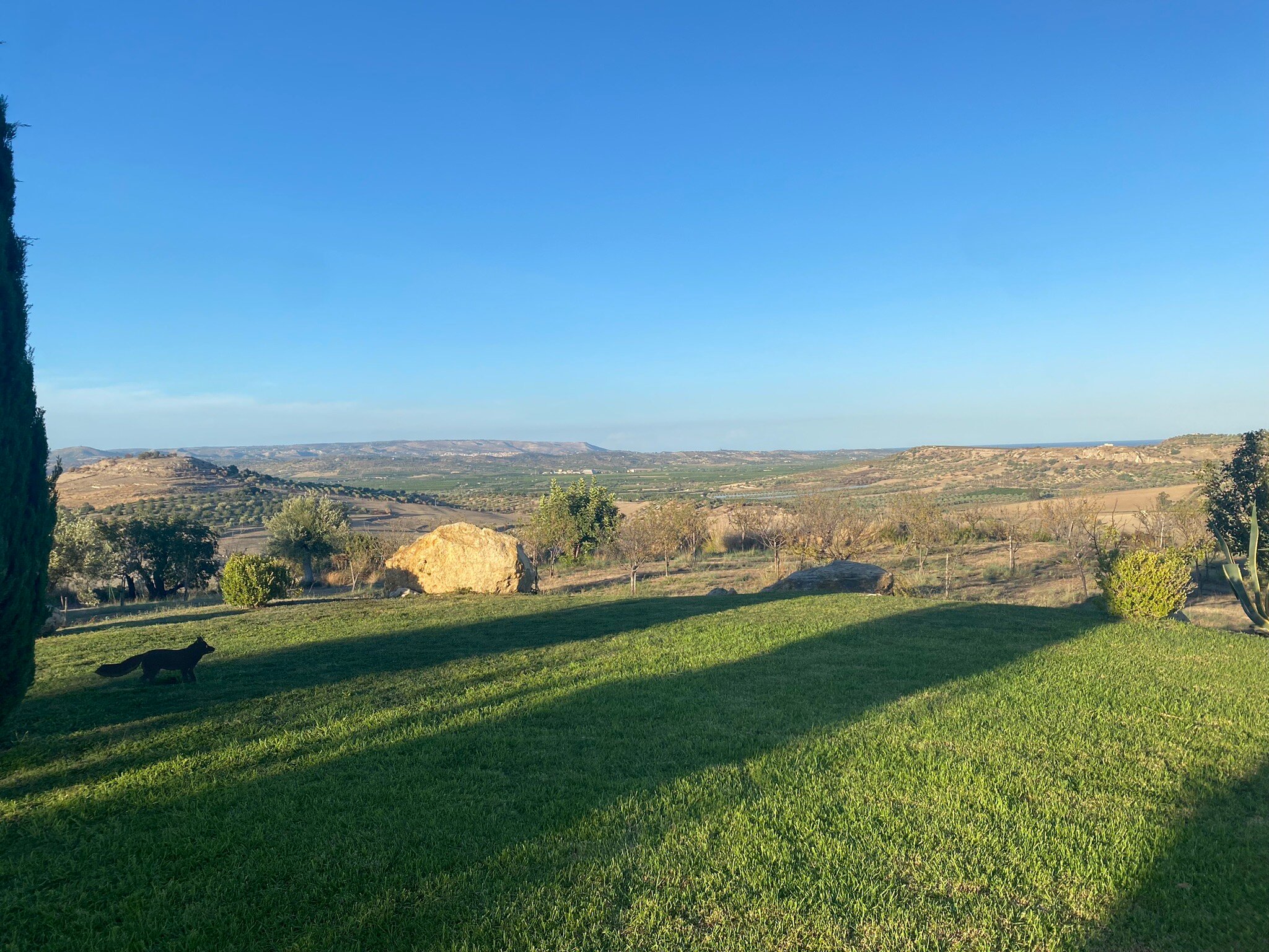 Masseria Della Volpe-官方