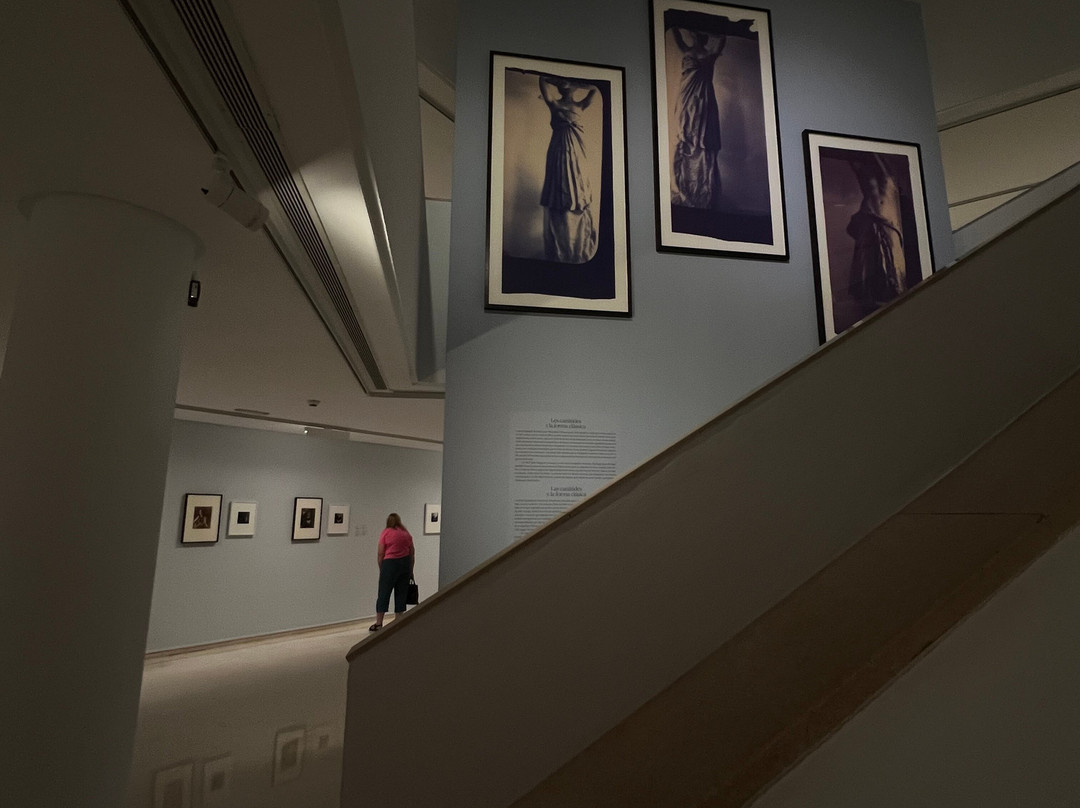Instituto Valencia d'Arte Modern (IVAM)景点图片