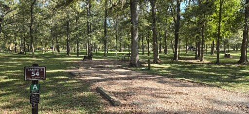 Stephen F. Austin State Park景点图片