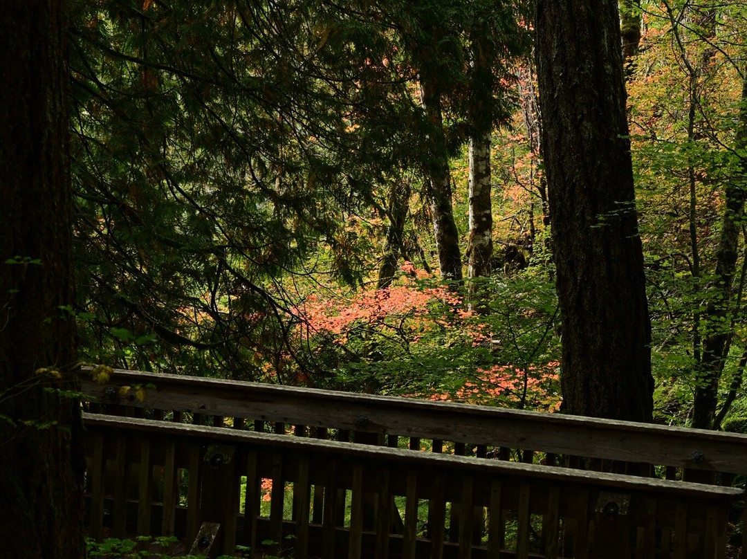 North Cascades Institute景点图片
