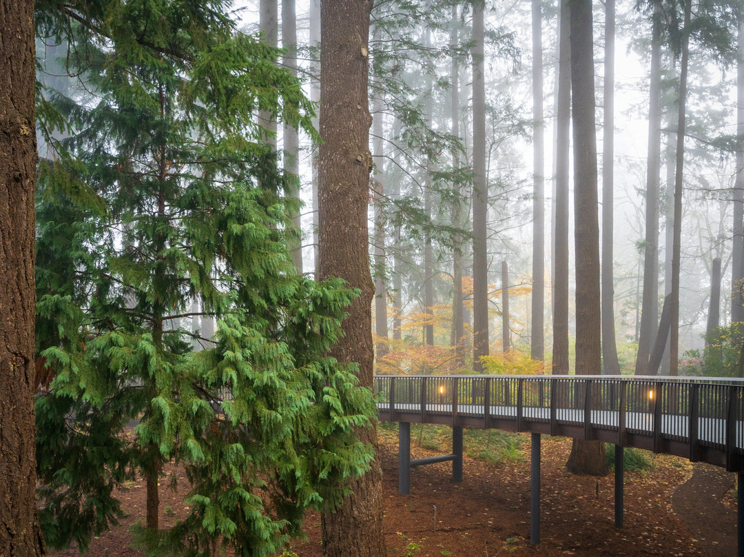 Leach Botanical Garden-波特兰必去景点