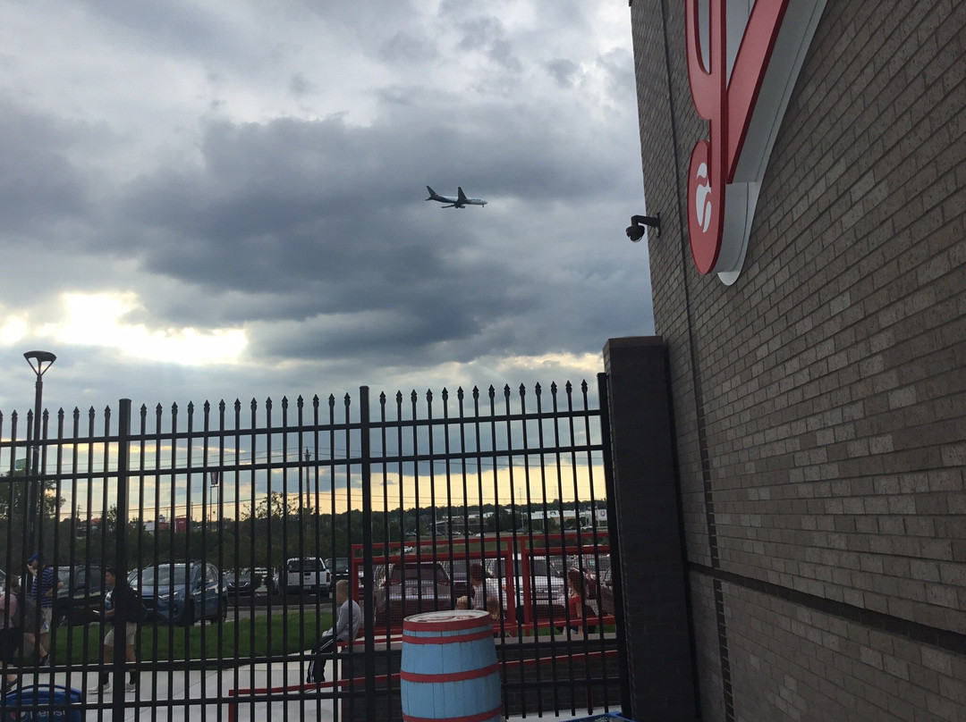 Florence Freedom-佛罗伦萨必去景点