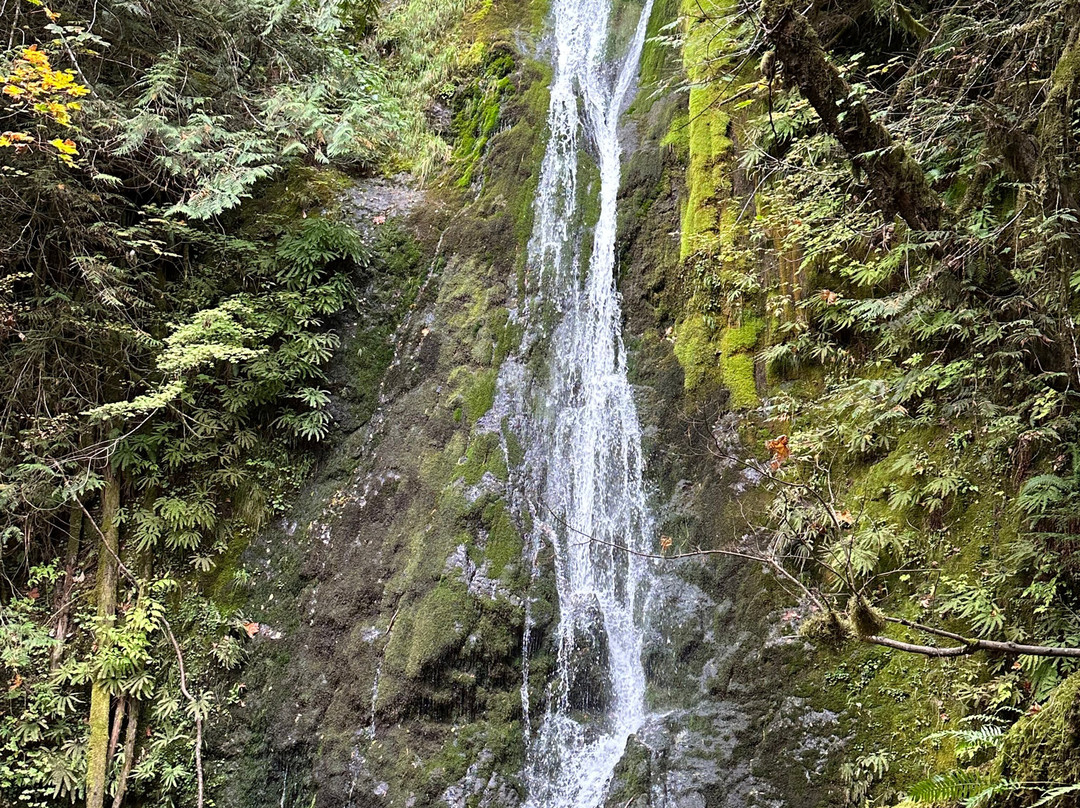 Madison Creek Falls景点图片