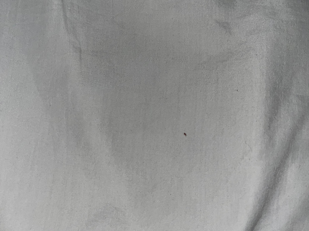 地平线旅馆主图