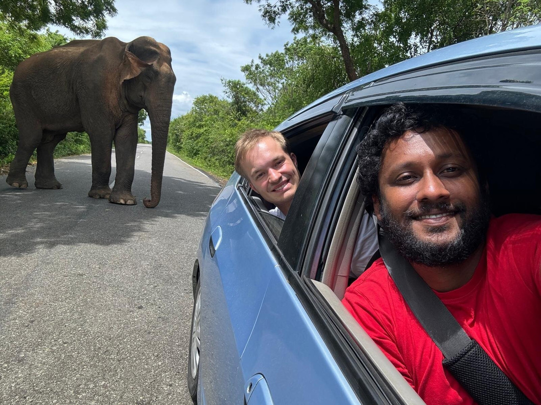 YALA Amazing Tours & Taxi Service-Yala必去景点