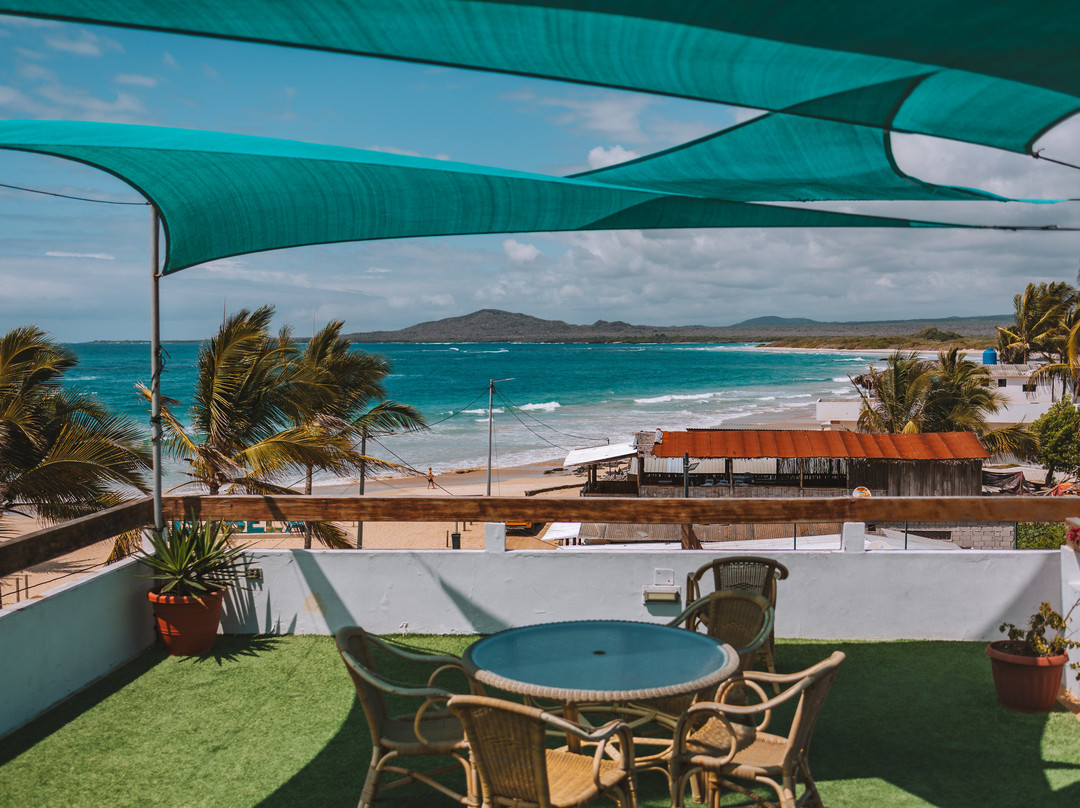 Hotel Albemarle主图