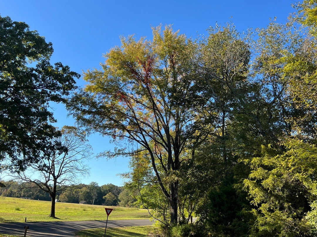 Shiloh National Military Park-Shiloh必去景点