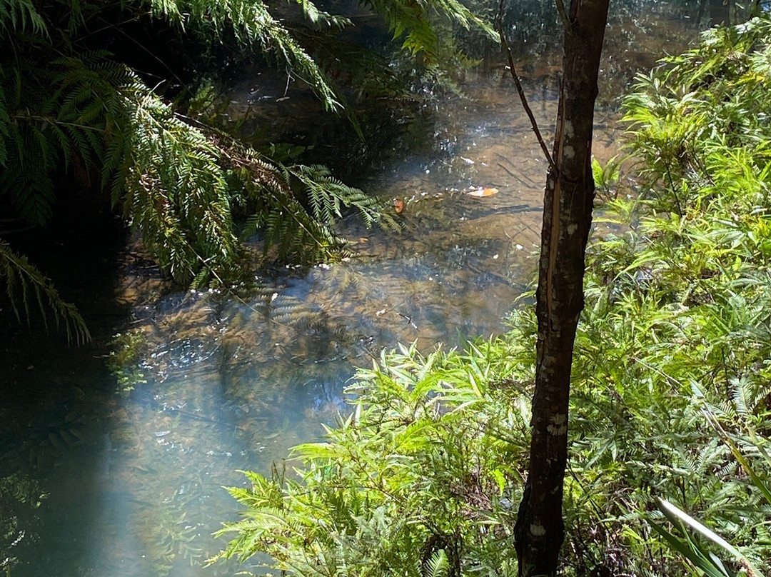 Sun Valley Fire Trail-Valley Heights必去景点