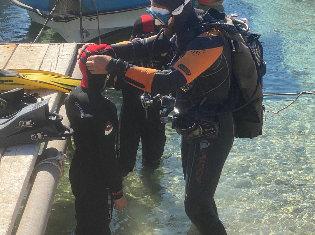 Cyprus Diving Centre-Pernera必去景点
