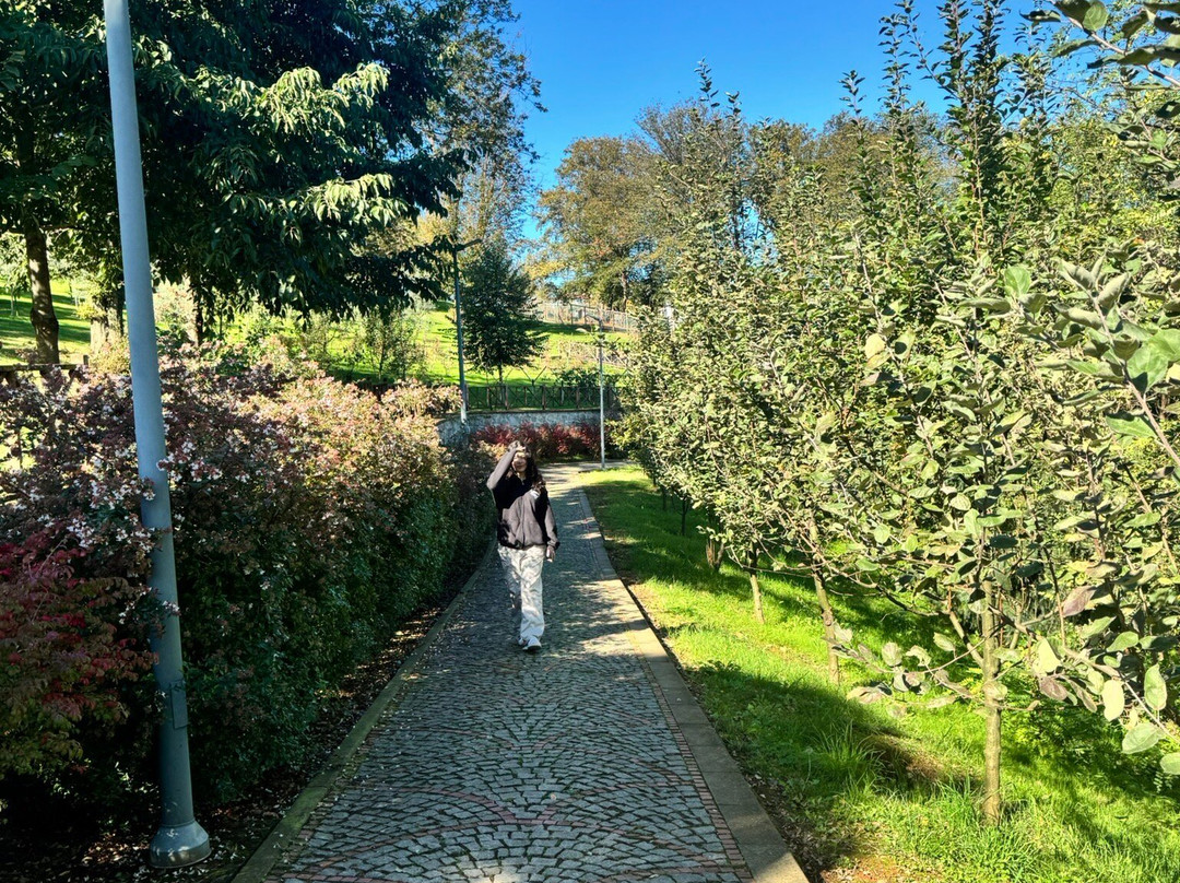 Trabzon Botanik Park-特拉布宗省必去景点