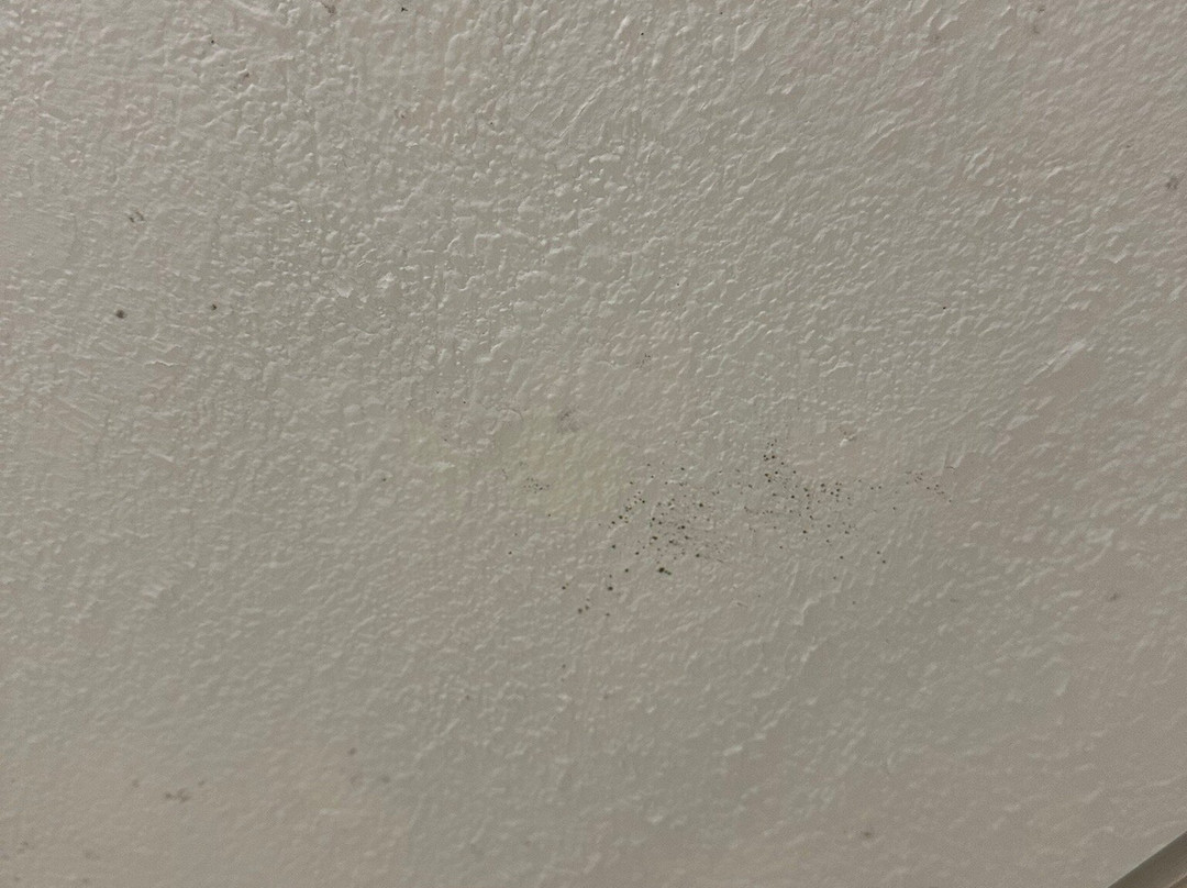 Comfort Inn Matthews - Charlotte主图