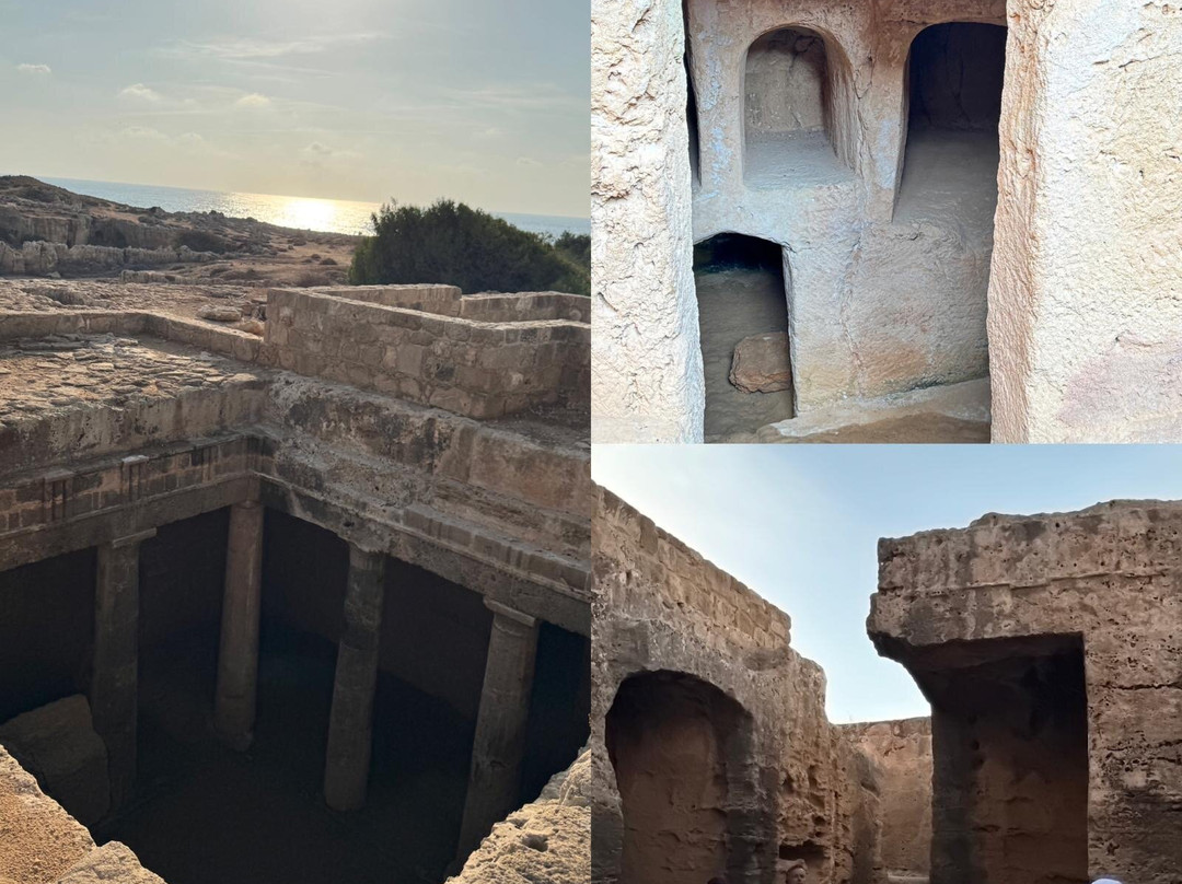 Spanos Buses Cyprus-利马索尔必去景点