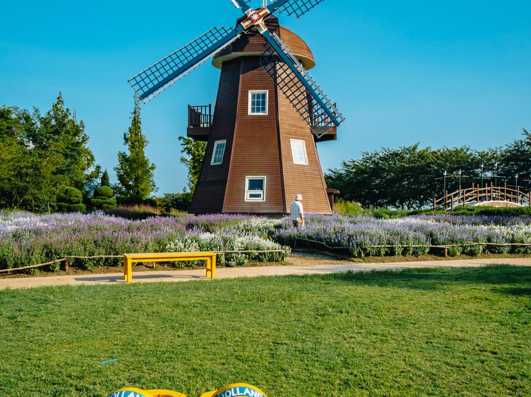 Suncheon Bay Garden-顺天市必去景点