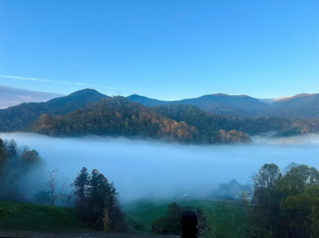 莓果 B&B 旅馆主图
