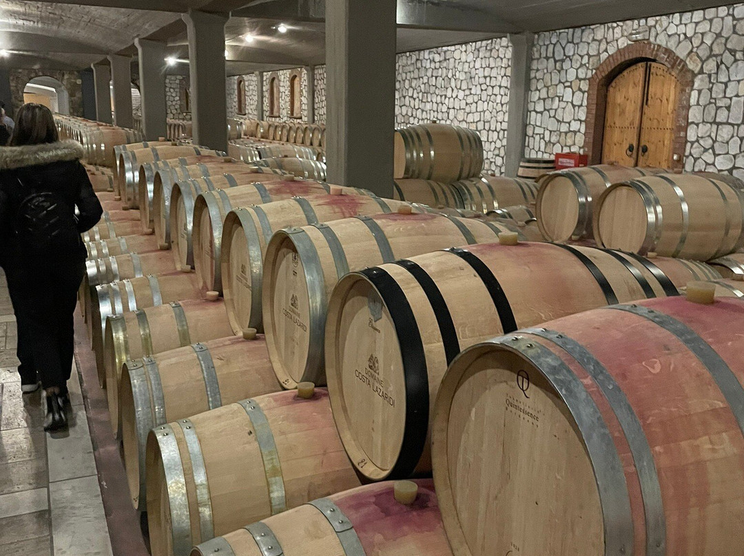 Domaine Costa Lazaridi景点图片