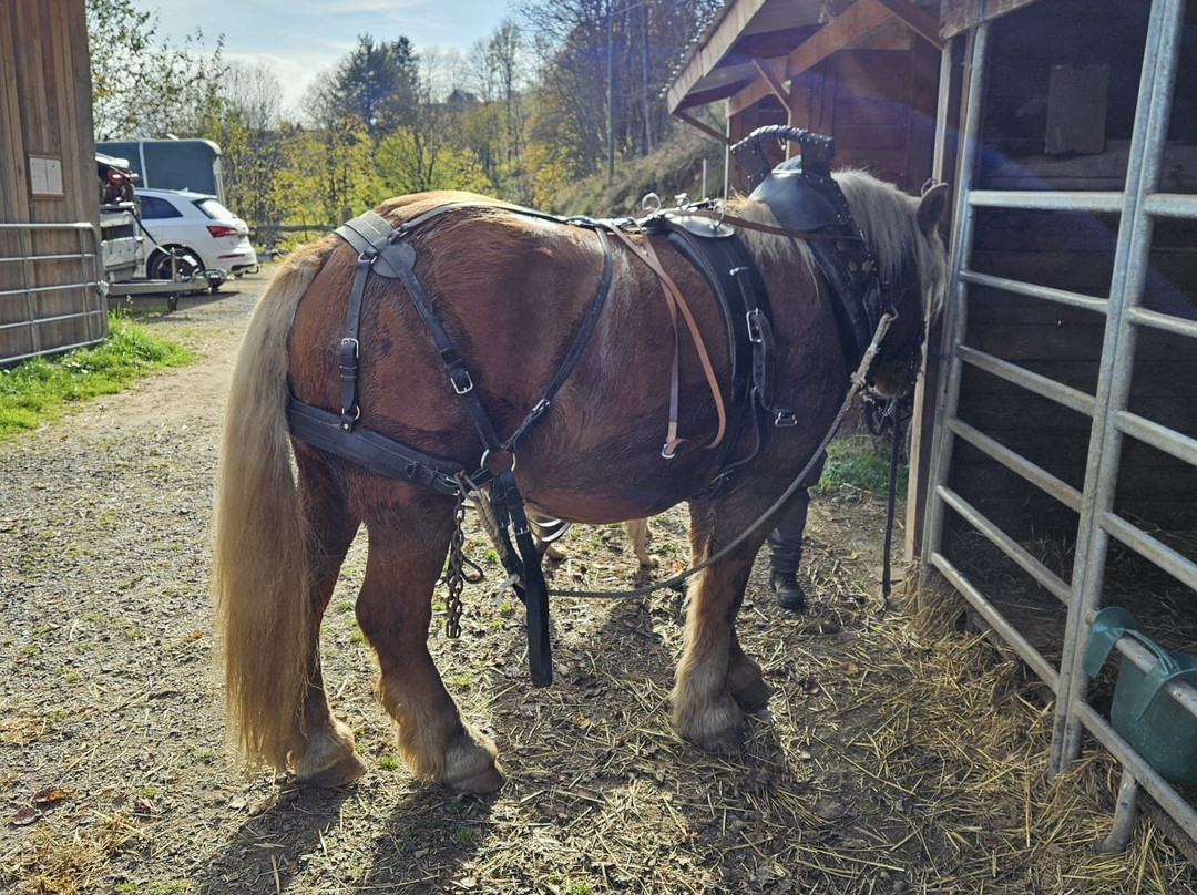 La Petite Finlande主图